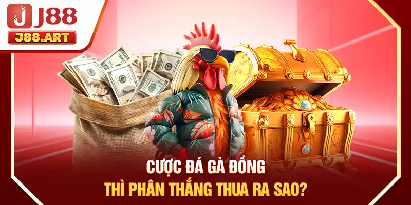 Cược đá gà đồng thì phân thắng thua ra sao?