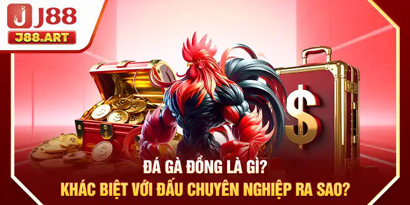 Đá gà đồng là gì? Khác biệt với đấu chuyên nghiệp ra sao?