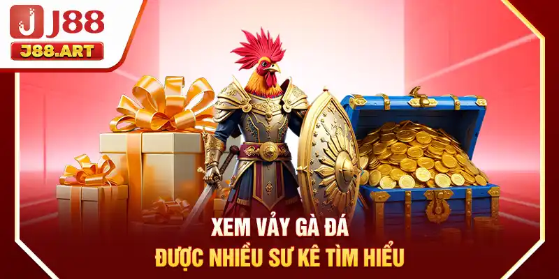 Xem vảy gà đá được nhiều sư kê tìm hiểu